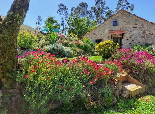 Cedrim Hillside in Sever do Vouga