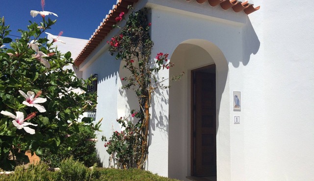 Coastal Benagil apartment. Rooftop & pool. Walk to beach, caves & restaurants in Benagil