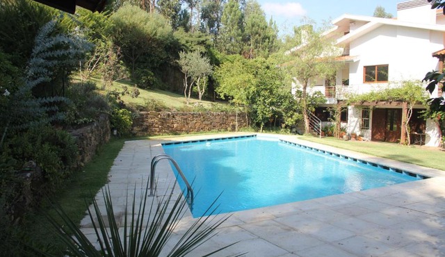 Cork Tree Villa in Porto