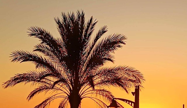 FIRST LINE BEACH: "LA CALMA" APARTMENT. OCEANFRONT! in Coma-ruga