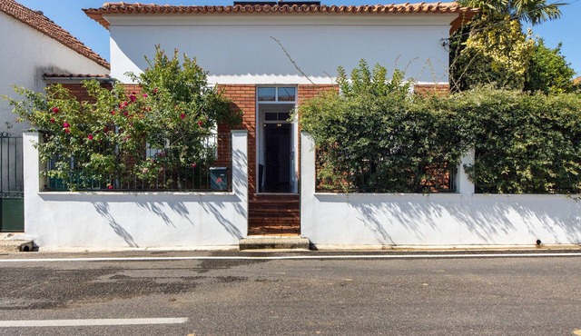 Holiday Home 'Vivenda Barros' with Private Garden and Wi-Fi in Sangalhos