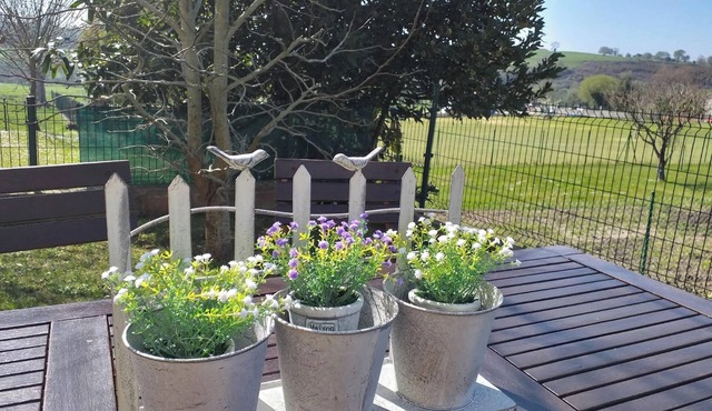 Homerez - Charming house in Suances with pool in Suances