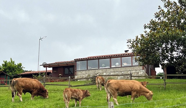 La cabaña de Vicente in Entrambasaguas