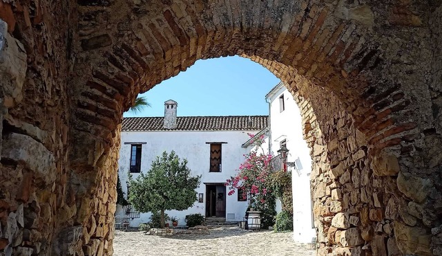 Lodging in a medieval hamlet, a wonderful experience. Restaurant,Info Point.Sl 3 in Castellar de la Frontera