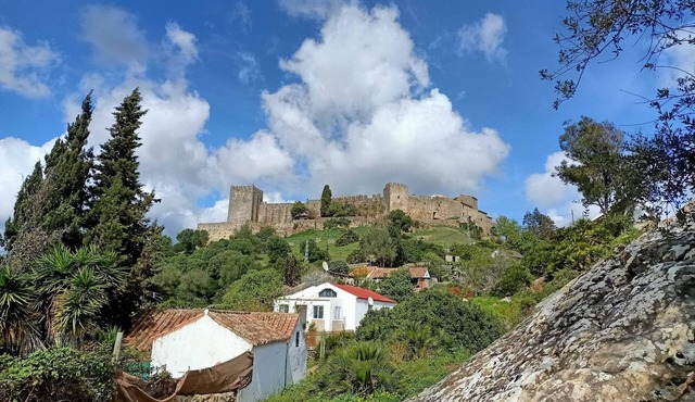 Lodging in a medieval hamlet, a wonderful experience. Restaurant,Info Point.Sl 3 in Castillo de Castellar