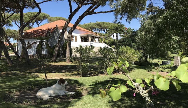 Manor House private pool/near the beach in Sintra/Cascais Natural Park in Sintra