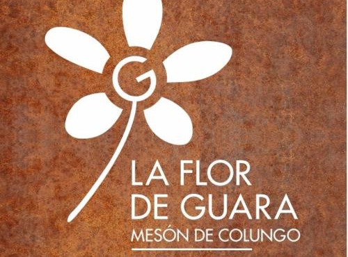 Mesón de Colungo in Colungo