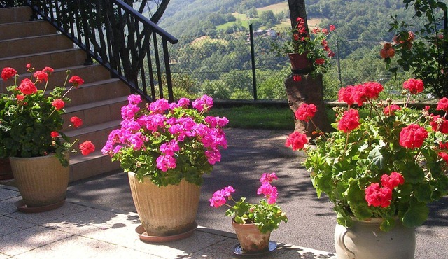 Nice Studio 33 m² in Espalion Occitanie at the gates of Aubrac in Espalion