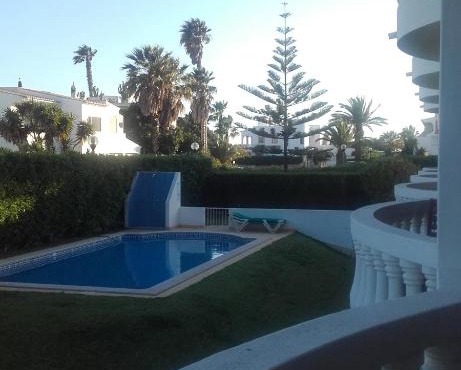 Palm Trees in Luz