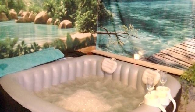 Quiet studio with pool table and spa, pets welcome. in Saint-Priest