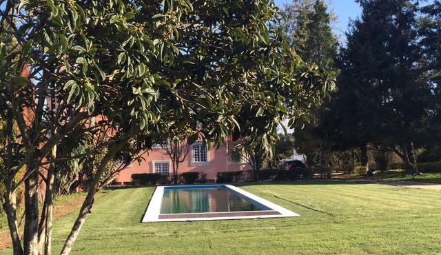 Quinta da Fogueira - Holiday Home in Anadia