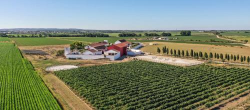 Quinta da Gafaria in Almeirim