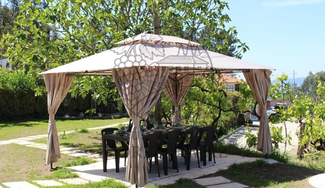 Quinta das Flores da Mãe in Marco de Canaveses