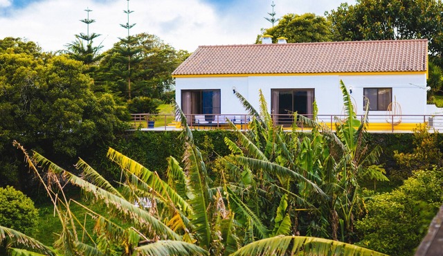 Quinta do Ananás Pineapple Farm in Ponta Delgada