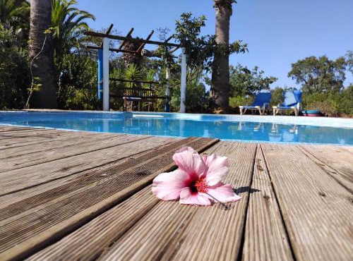 Quinta do Paraiso in Baiona