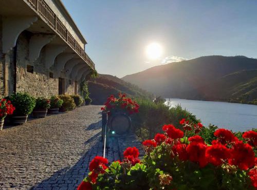 Quinta do Tedo in Armamar