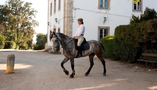 Quinta dos Álamos Agroturismo in Golega