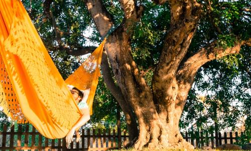 Quinta dos Cochichos - Country Houses in Olhao