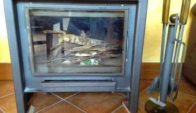 Self catering Ca L'Hortènsia for 8 people in Rourell (El)