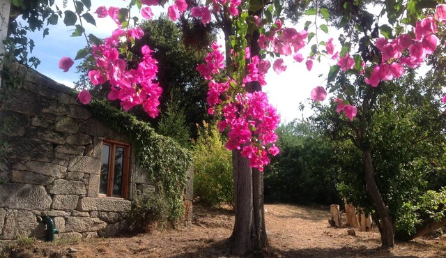 Stone Cottage Great for 2 + 1 people. in Vigo