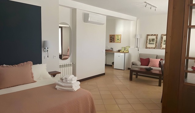 Superior Studio 'Biblioteca' with Terrace, Wi-Fi and Air Conditioning in Consuegra
