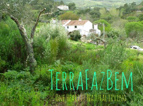 TerraFazBem in Marvao