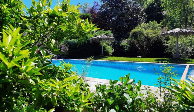 THE COSY CORNER - A SMALL STUDIO FOR LOVERS in Amarante