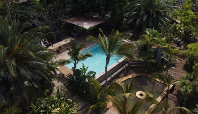 TROPICAL RESORT Designed for Company Offsite and Wellness Retreats/Only buyout in Guía de Isora