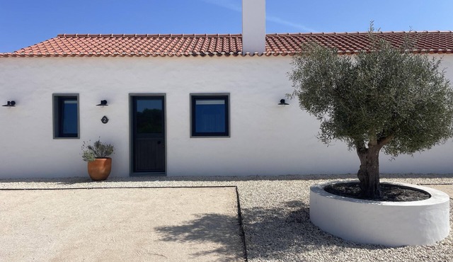 Two Bedroom Apartment in Zambujeira do Mar