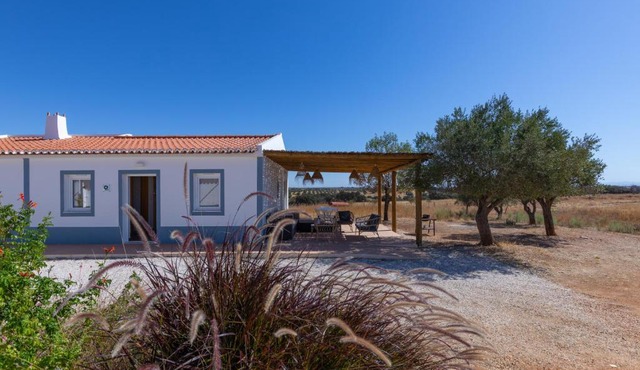 Vinhas Douradas in Moura
