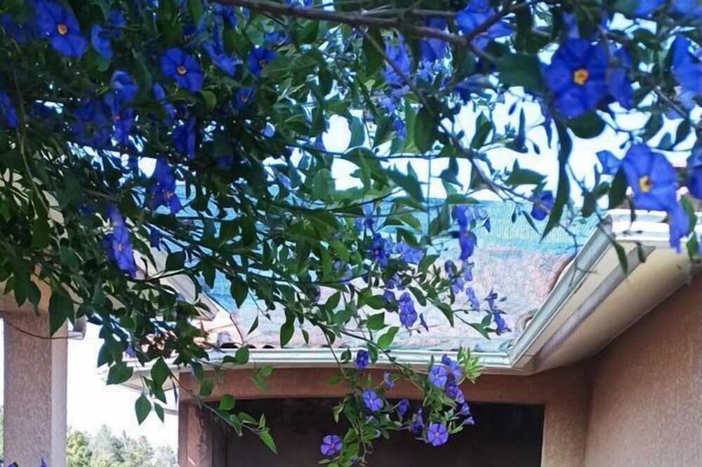 Photo of Outdoor in Castro Daire