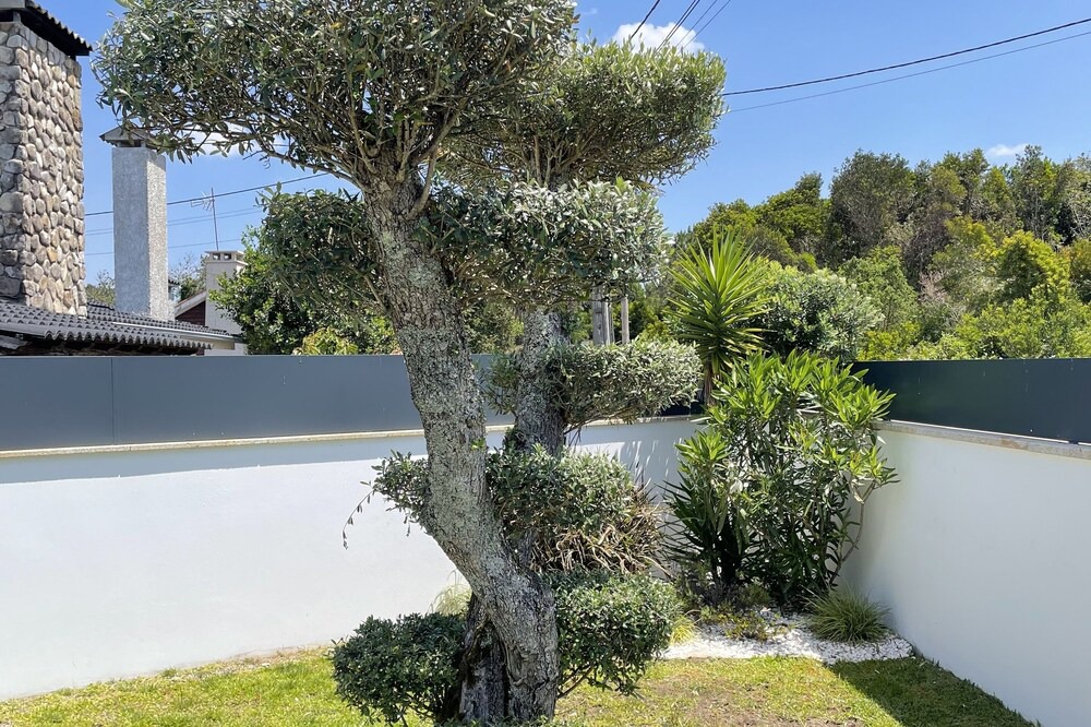 Photo of Outdoor in Ancora