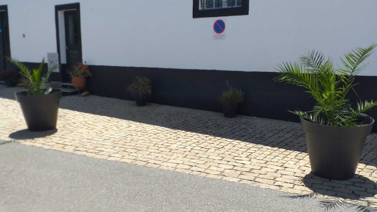 Photo of Outdoor in Avis