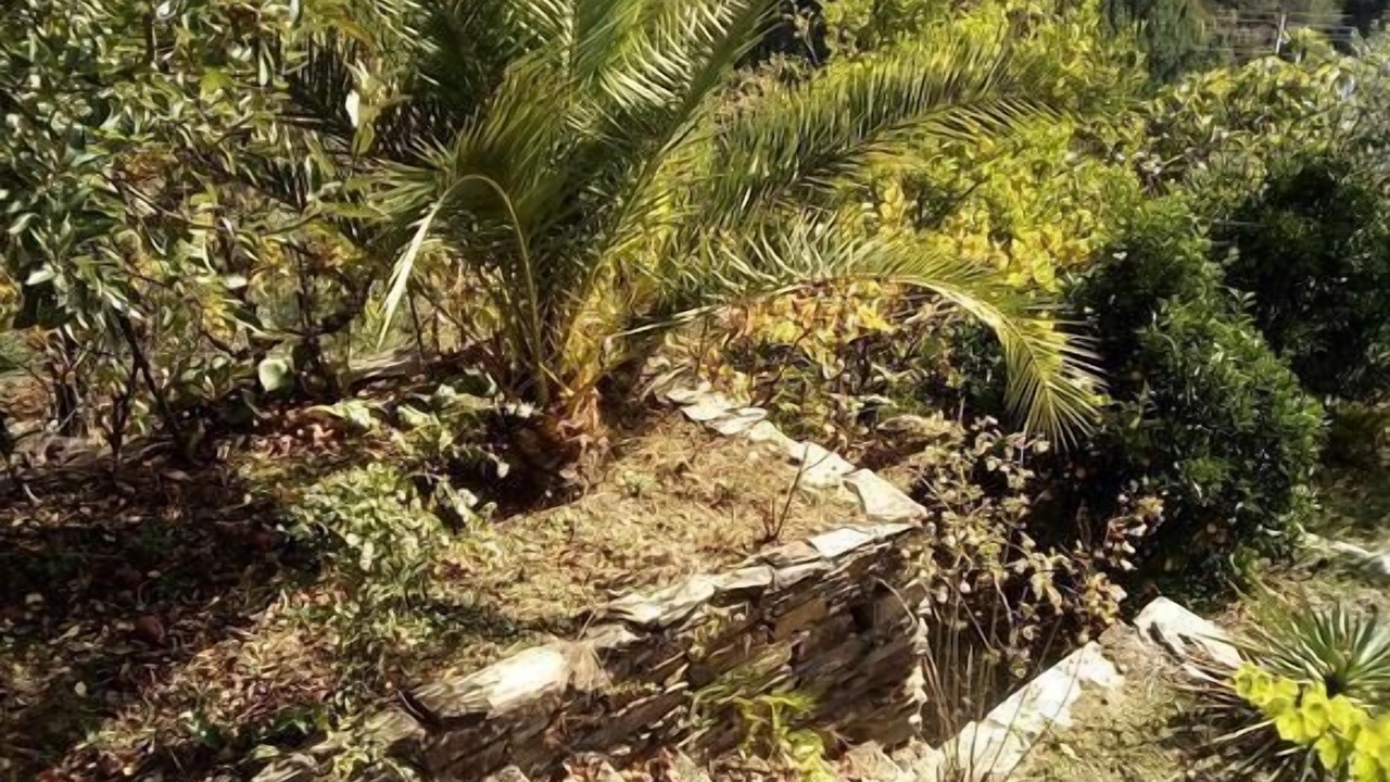Photo of Outdoor in Castro Daire