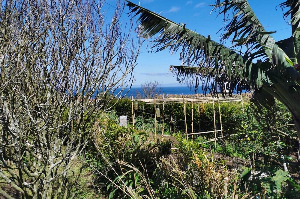Photo of Outdoor in Porto Formoso