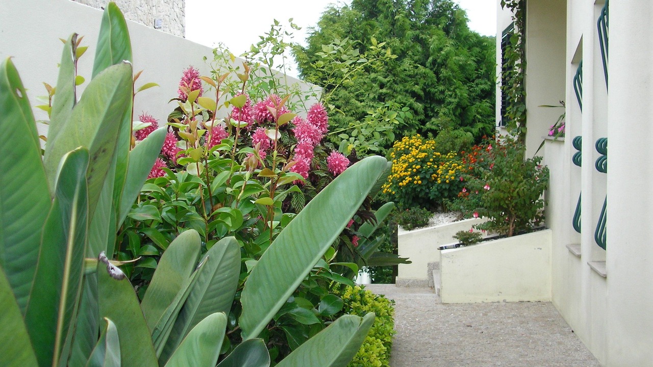 Photo of Outdoor in Arcos