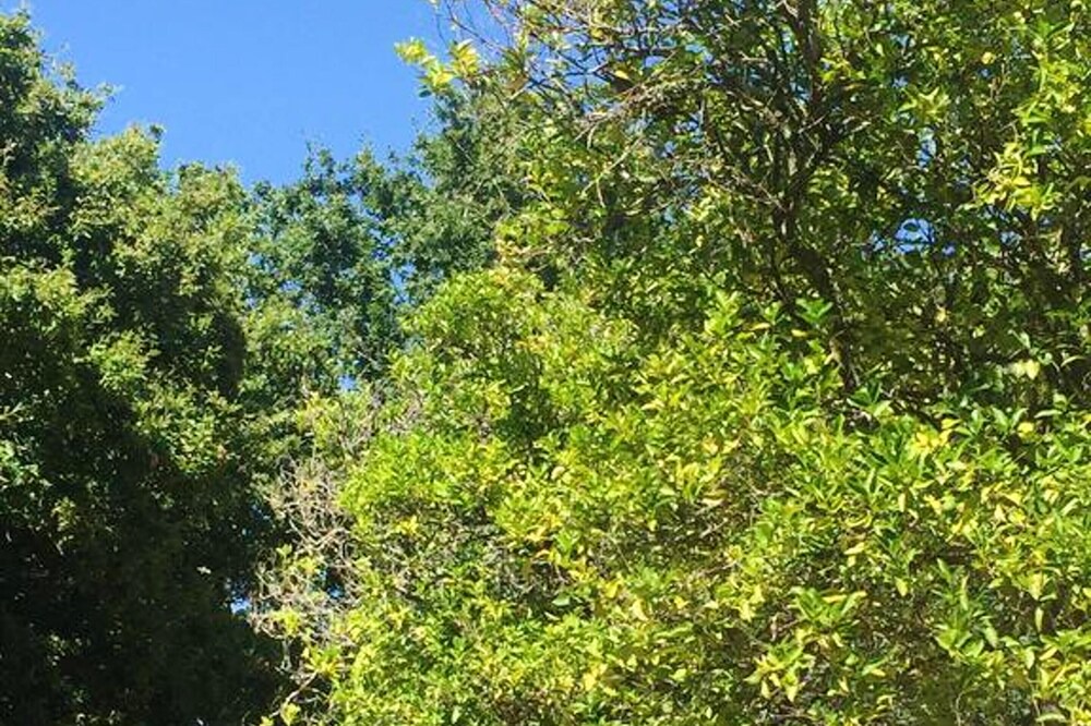 Photo of Outdoor in Valenca