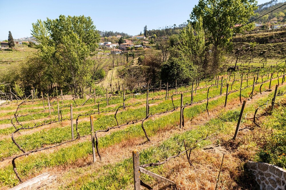 Photo of Outdoor in Castelo de Paiva