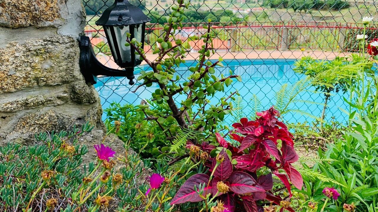Photo of Outdoor in Esposende