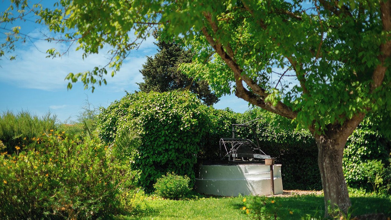 Photo of Outdoor in Curvaceiras Grandes