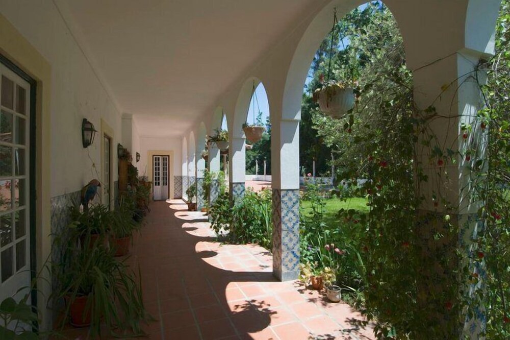 Photo of Outdoor in Alvega