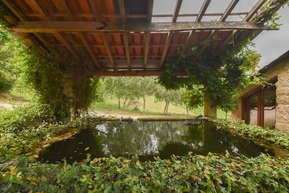 Photo of Outdoor in Penafiel