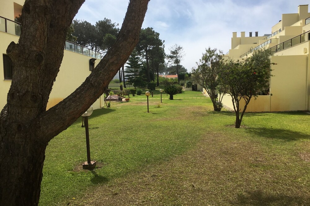 Photo of Outdoor in Esmoriz