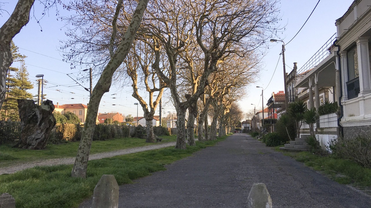 Photo of Outdoor in Praia Da Granja