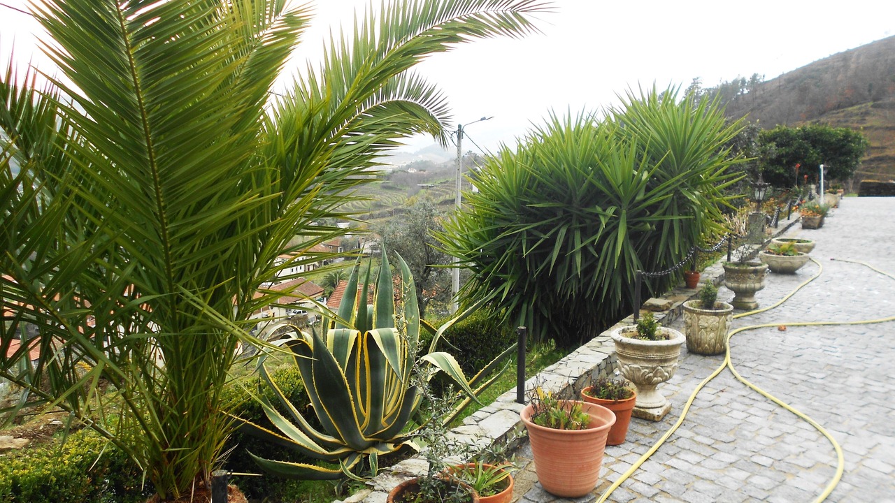 Photo of Outdoor in Vila Marim