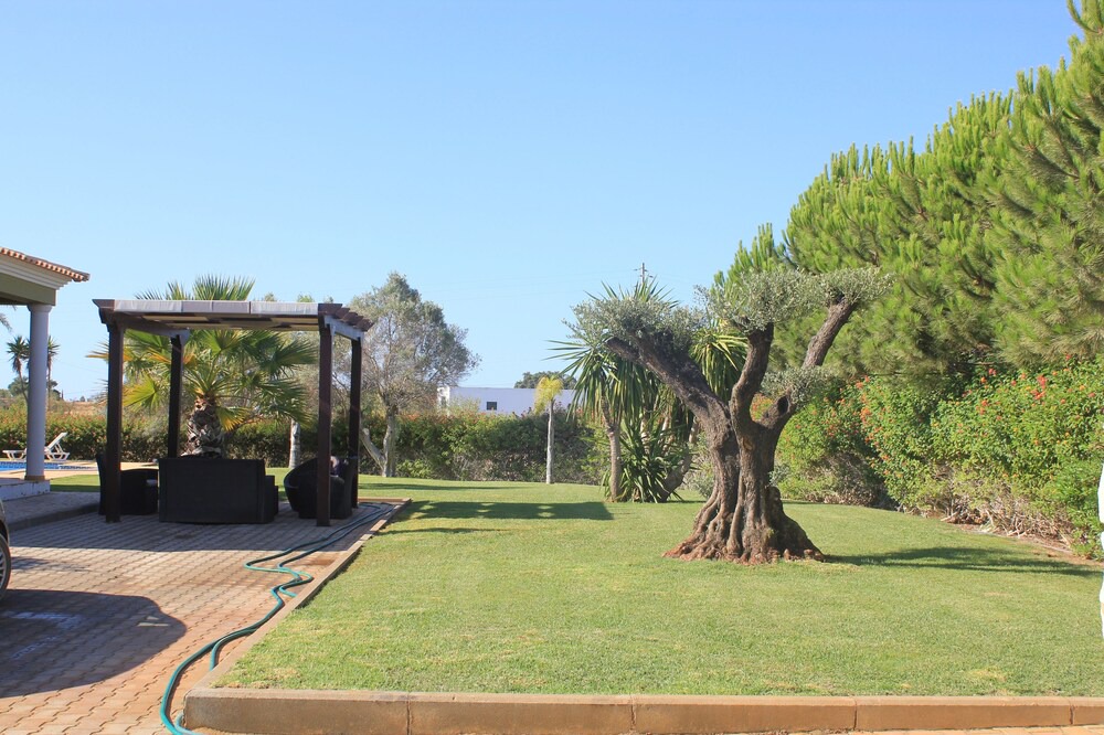 Photo of Outdoor in Silves