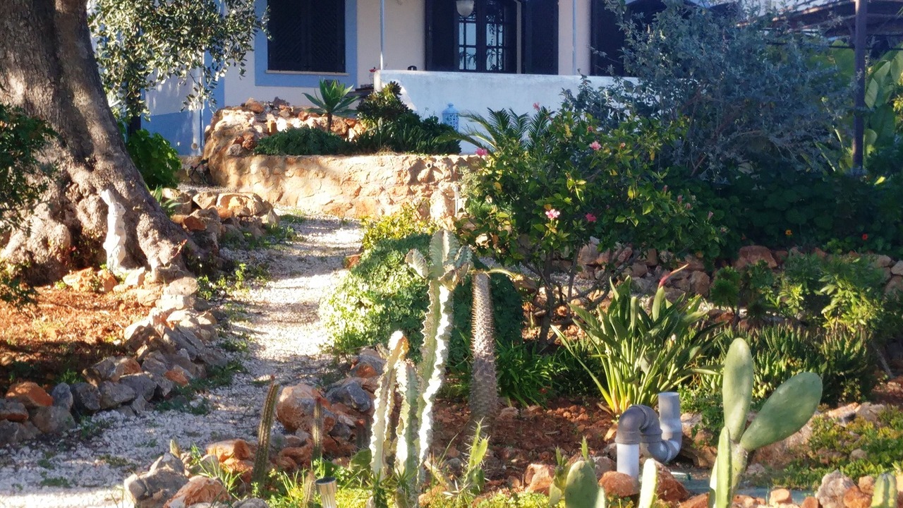 Photo of Outdoor in Silves
