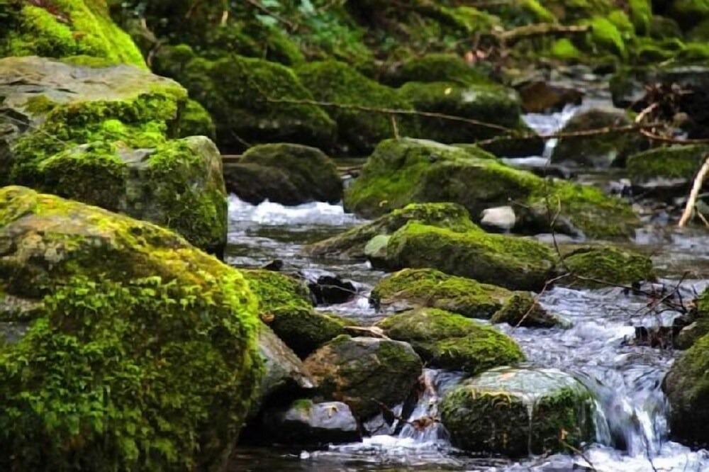 Photo of Outdoor in Acereda