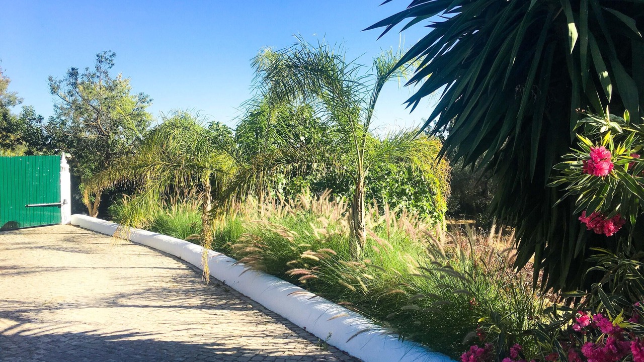 Photo of Outdoor in Cerro do Mocho