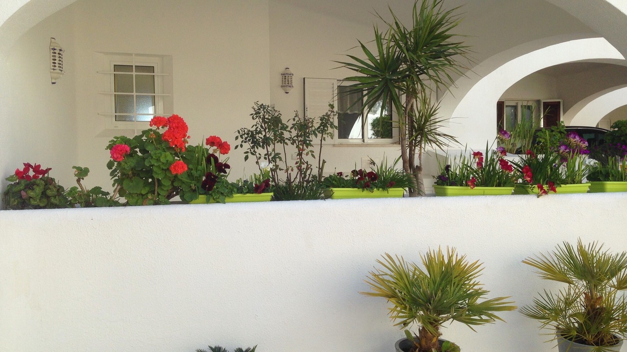 Photo of Outdoor in Mato Serrao